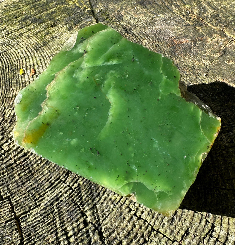 Canadian Jade Rough - 1lbs 4oz