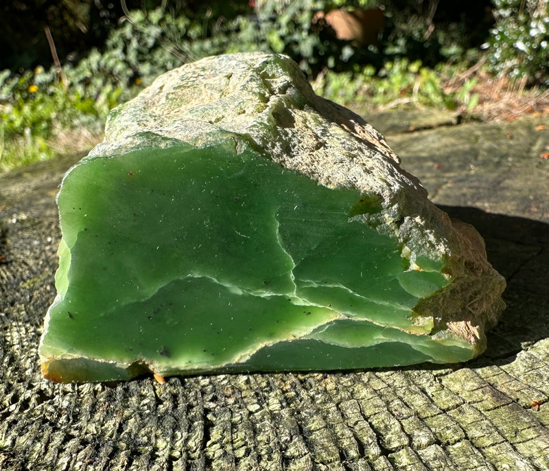 Canadian Jade Rough - 1lbs 4oz