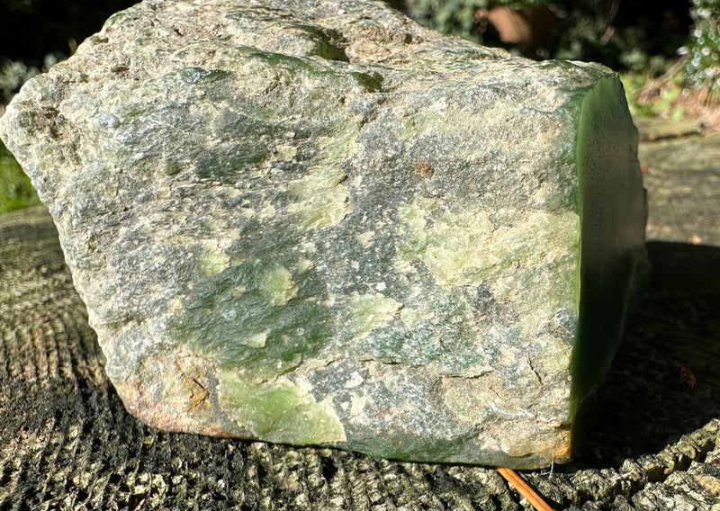 Canadian Jade Rough - 1lbs 4oz