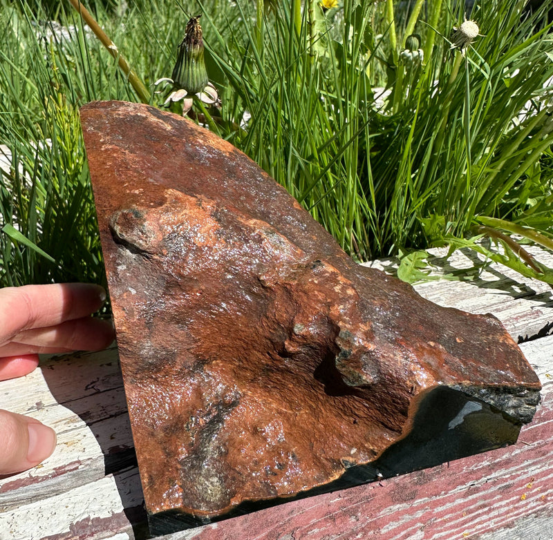 Top Quality Wyoming Black Jade Specimen, 4lbs 6oz